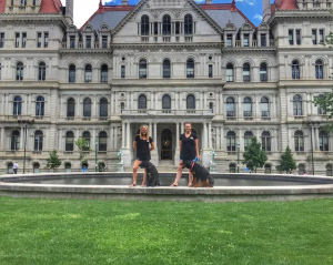 Off leash k9 training