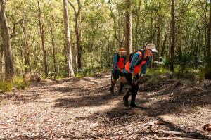 Adrenalin Quest- trekking through Murramarang NP