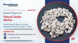 Natural Zeolite Market