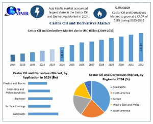 Castor Oil and Derivatives Market