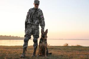 Image of solider and K9 dog