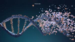 NYU Abu Dhabi scientists reveal a hidden biological switch linked to obesity