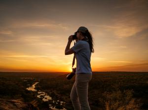 Go2Africa Safari Observer