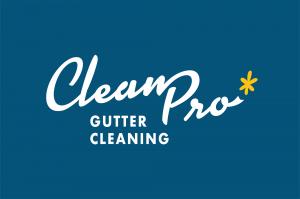 Clean Pro Gutter Cleaning Word Mark