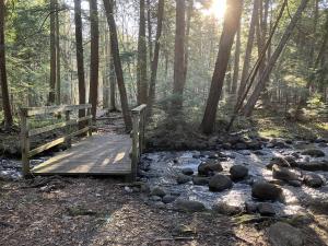 Sunlight filtering through trees over a small wooden bridge and stream in a quiet forest landscape.