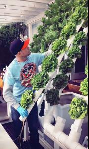 Keil harvests a Duct from the National Ag Week Lettuce Wall