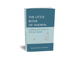 Cover Image for The Little Book of Shenpa