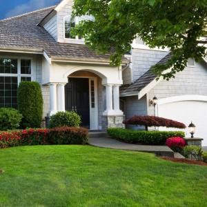 Land scaping Services