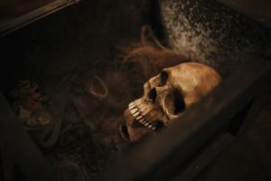 Scared to Death.Skull