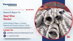 Steel Wire Market