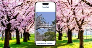 Mobal's 2026 Cherry Blossom Guide