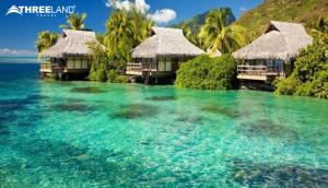 vietnam travel company