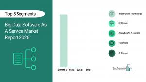 Big Data Software As A Service Market Growth