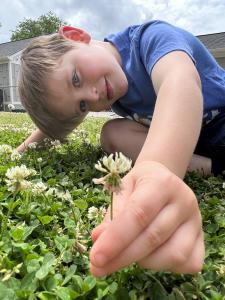 Child picking a white clover flower while sitting in a clover lawn, showing a family-friendly and low-maintenance alternative to traditional grass.