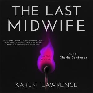 Book cover showing magenta flame in the shape of a pregnant woman on a black background.