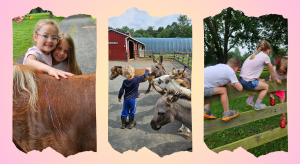 Messy Hands & Happy Hooves Summer Camp