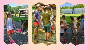 Summer Camp at Messy Hands & Happy Hooves
