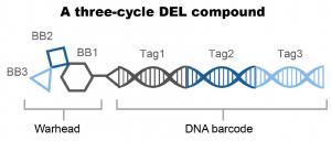 DNA encoded library (DEL) market