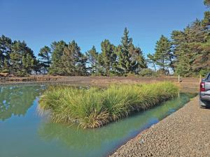 Image of mature floating islands with Sedge's growing and leaves drooping over the edges.