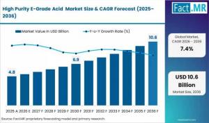 High Purity E-Grade Acid  Market