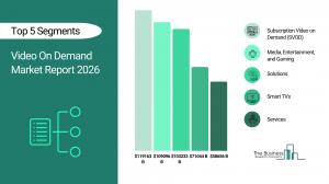 Video On Demand  Market Report 2026_segments