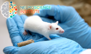 Neuroscience Research Institute at Ambrosia Behavioral Health