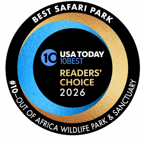 Circular black, blue, and gold USA TODAY 10Best Readers’ Choice 2026 badge labeling Out of Africa Wildlife Park & Sanctuary as the No. 10 Best Safari Park.