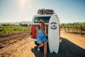 Red VW Van in Temecula vineyard with Oceanside surfboard