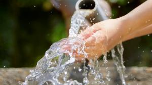 As the world marks World Water Day, growing attention is being placed on a hidden driver of the global water crisis: the way our food is produced. From agriculture to animal farming, today’s food systems are placing increasing pressure on already strained