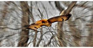 abstract dimensional photography.