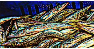 modern photographic art