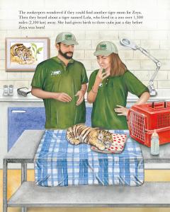 Illustration from the book of zookeepers and baby Zoya