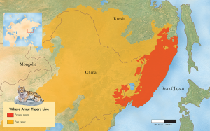 Illustration from the book of the present and past population locations of Amur Tigers on a map