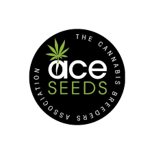 Ace Seeds logo - landrace and heirloom cannabis genetics breeder now available at Seeds Here Now