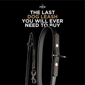 Multi Function Dog Lead