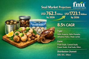 Snail Industry Analysis