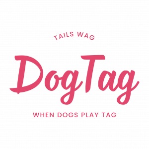 DogTag Dog Daycare