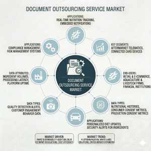 Document Outsourcing Service Market Outlook
