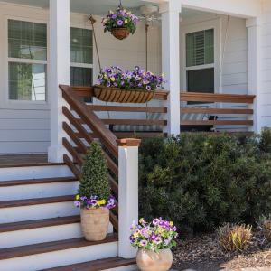Celestial At Home's Premium Outdoor, UV-resistant, Waterproof, Lifelike Purple and Yellow Petunias shown in a hanging basket, window box, urn, and draped around a boxwood cone