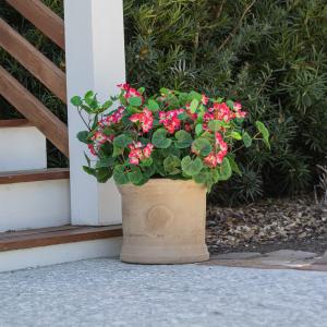 Celestial At Home's Premium Outdoor, UV-Resistant, Waterproof Red Geranium Urn Filler in a brushed terracotta urn filler