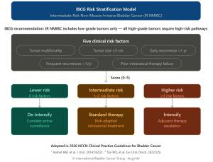 Infographic showing the IBCG five-factor clinical risk stratification model for intermediate-risk non–muscle-invasive bladder cancer (IR NMIBC), stratifying patients into three subgroups — lower risk (0 factors), intermediate risk (1–2 factors), and highe