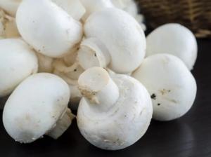 Fresh button mushrooms placed together, showing white caps and short stems used in mushroom cultivation and consumption.