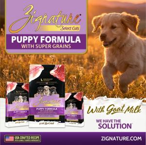 New Puppy Formula with Super Grains and Goat Milk from Zignature® Addresses Rising Demand for Targeted Early-life Nutrition