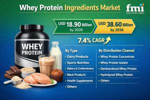 Whey Protein Ingredients Industry Size