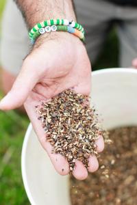 Hand holding a mix of wildflower seeds ready for spring planting in a garden bed, emphasizing high-quality, pollinator-safe seed selection.