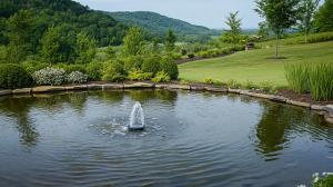Water moves through an aerator at a Virginia pond outside Richmond in springtime.