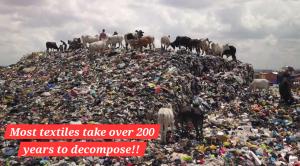 ricRACK, New Orleans, LA 