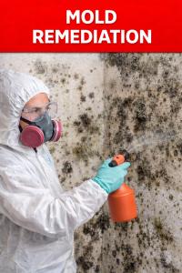 Mold remediation Boca Raton FL