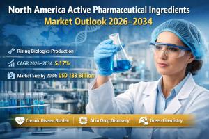 North America Active Pharmaceutical Ingredients Market