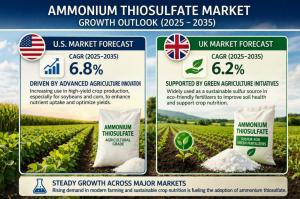 Ammonium Thiosulfate Market/Industry